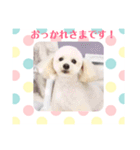 アンジーと楽しい仲間たち！（個別スタンプ：3）