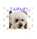 アンジーと楽しい仲間たち！（個別スタンプ：4）