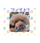 アンジーと楽しい仲間たち！（個別スタンプ：5）