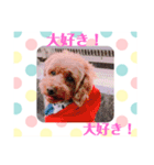 アンジーと楽しい仲間たち！（個別スタンプ：6）