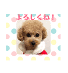 アンジーと楽しい仲間たち！（個別スタンプ：7）