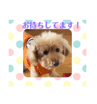 アンジーと楽しい仲間たち！（個別スタンプ：10）