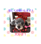 アンジーと楽しい仲間たち！（個別スタンプ：11）