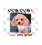 アンジーと楽しい仲間たち！（個別スタンプ：16）