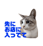誰かと会う為の猫スタンプ（個別スタンプ：25）