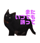 誰かと会う為の猫スタンプ（個別スタンプ：29）