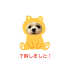 マルチーズりんちゃんの生活（個別スタンプ：16）