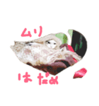 夢にゃンこ（個別スタンプ：5）