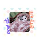 夢にゃンこ（個別スタンプ：6）