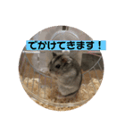 はむちゃんと日常生活（個別スタンプ：14）