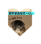 はむちゃんと日常生活（個別スタンプ：20）