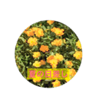 植物のスタンプ（個別スタンプ：8）
