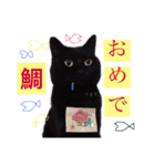 そのねこはこてつくん。（個別スタンプ：5）