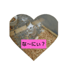グリmamafamily①（個別スタンプ：2）
