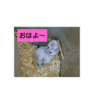 グリmamafamily①（個別スタンプ：5）