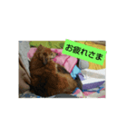 グリmamafamily①（個別スタンプ：6）