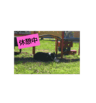グリmamafamily①（個別スタンプ：7）