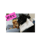 グリmamafamily①（個別スタンプ：8）