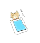 茶トラ猫でんスタンプ（個別スタンプ：6）