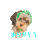 くうたのすたんぷ♡（個別スタンプ：1）