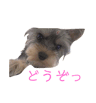 くうたのすたんぷ♡（個別スタンプ：8）