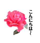 yasuおばさんの薔薇の気持ち（個別スタンプ：31）