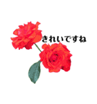 yasuおばさんの薔薇の気持ち（個別スタンプ：40）