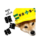 柴犬の工場長は安全第一！（個別スタンプ：5）