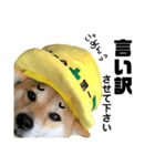柴犬の工場長は安全第一！（個別スタンプ：20）