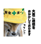 柴犬の工場長は安全第一！（個別スタンプ：24）