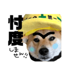 柴犬の工場長は安全第一！（個別スタンプ：25）