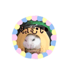 てんちゃんとせんちゃん2（個別スタンプ：1）