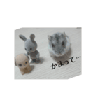 てんちゃんとせんちゃん2（個別スタンプ：2）