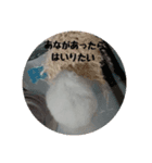 てんちゃんとせんちゃん2（個別スタンプ：3）