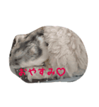 てんちゃんとせんちゃん2（個別スタンプ：4）
