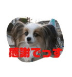 バディ888（個別スタンプ：3）