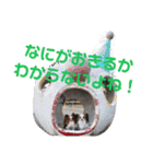 バディ888（個別スタンプ：4）
