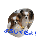 バディ888（個別スタンプ：7）