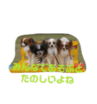 バディ888（個別スタンプ：12）