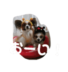 バディ888（個別スタンプ：15）