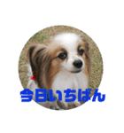 バディ888（個別スタンプ：32）