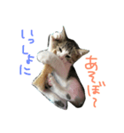 Rain②（個別スタンプ：2）