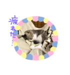 Rain②（個別スタンプ：3）