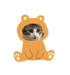 Rain②（個別スタンプ：5）