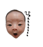こはるま姉弟（個別スタンプ：1）