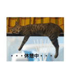 すずのハンコ（個別スタンプ：4）