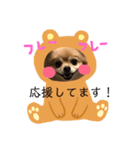 ぽめちわのぽち（個別スタンプ：7）