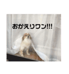 こやまけのなかまたち（個別スタンプ：9）