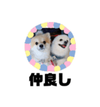 ランジュくんとルイちゃんシーズン2（個別スタンプ：2）