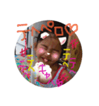 りこ＆ゆめとあと一人（個別スタンプ：25）